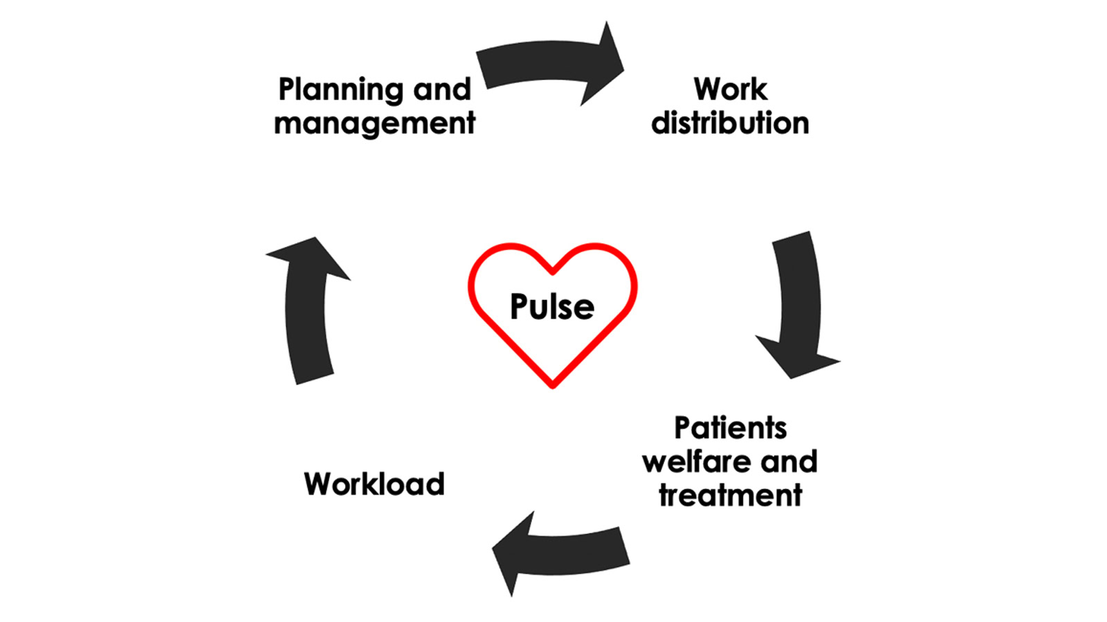 Solita Pulse