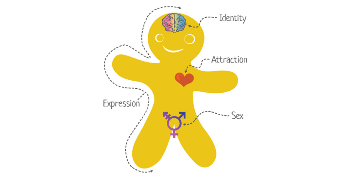 Genderbread person